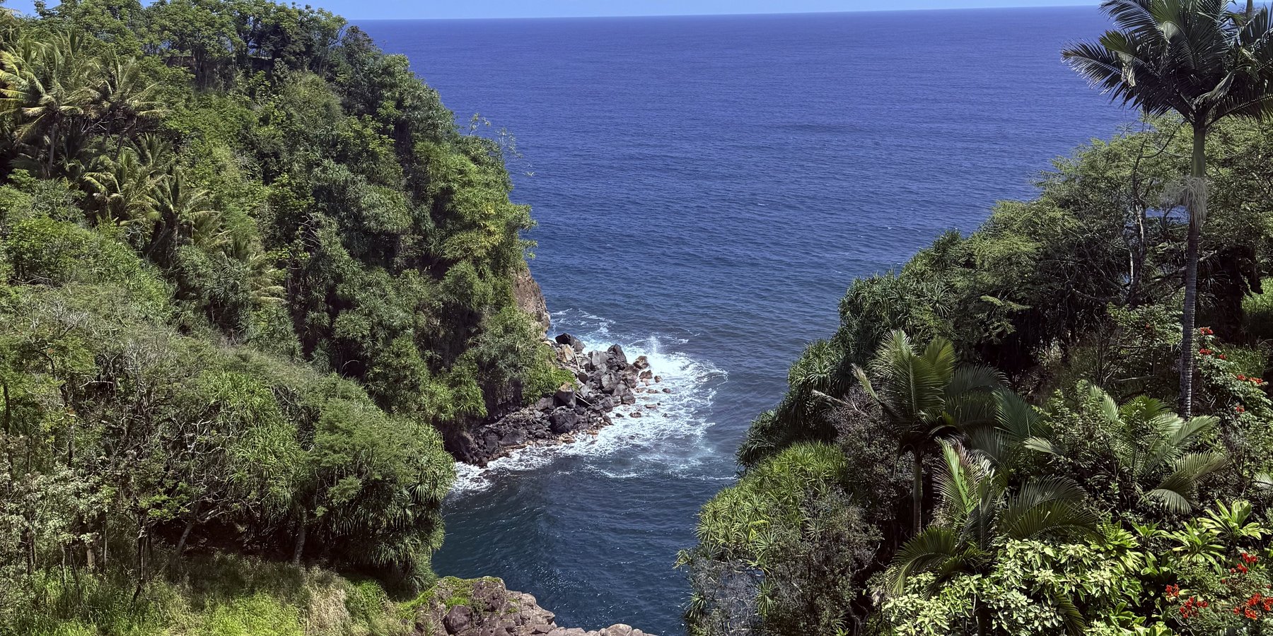 A lush green cove opening to the deep blue ocean