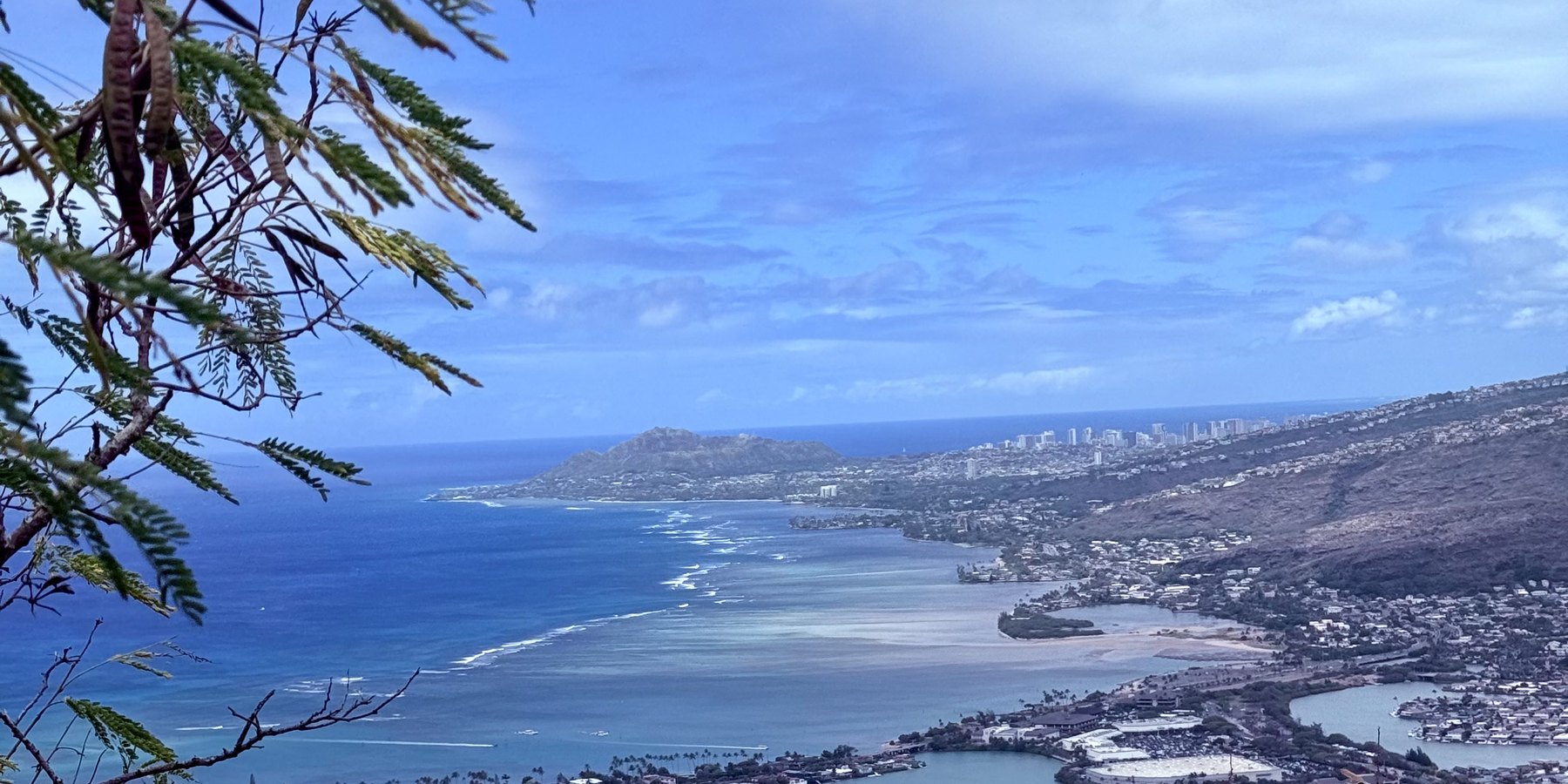 A sweeping view over the bay and coastline from a hilltop